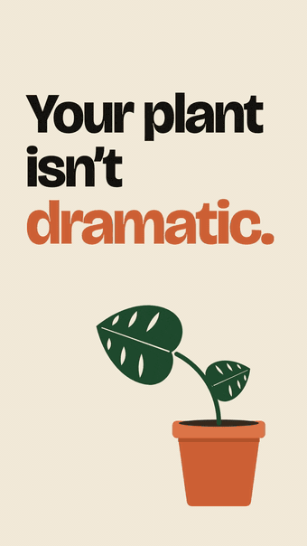 Fernly: a video made with the social-ad Claude skill